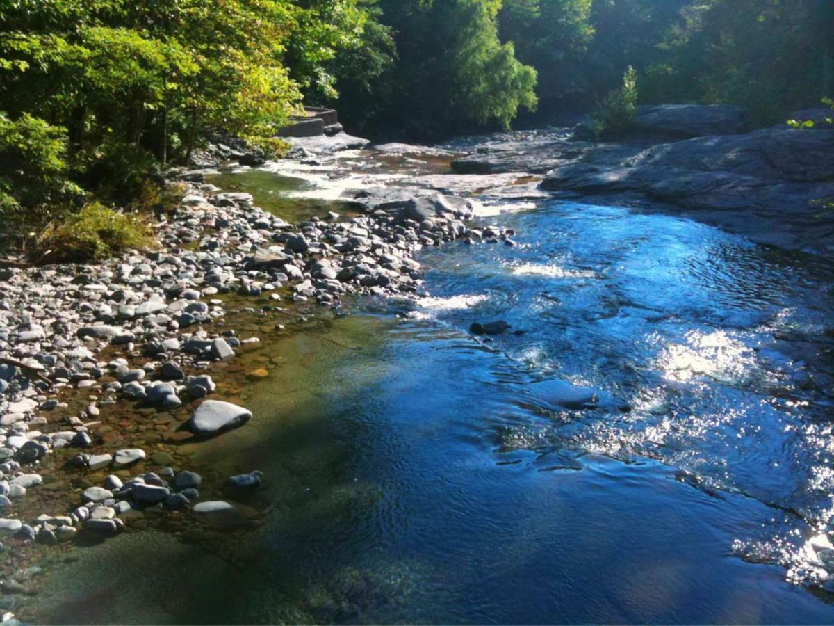 Play All Day - Sleep By The Stream At Night - Swimming Hole Palenville 외부 사진